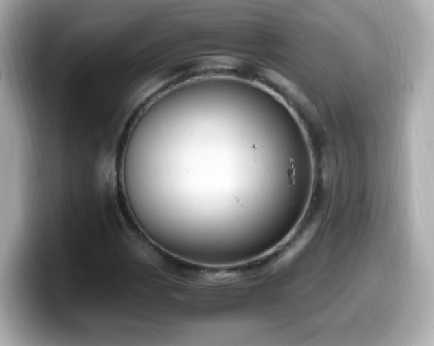 X0000099991113200805231447