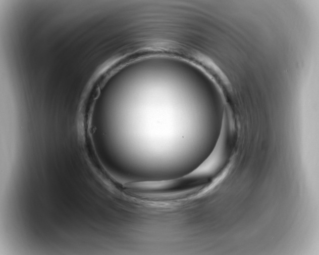 X0000099991114200805231447