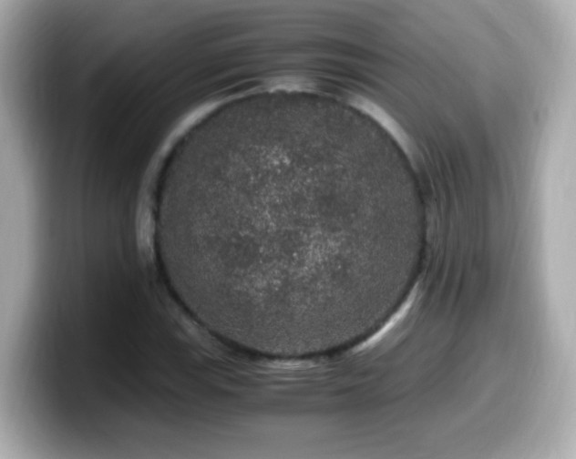 X0000099991115200805231447