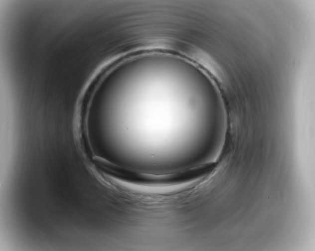 X0000099991116200805231447