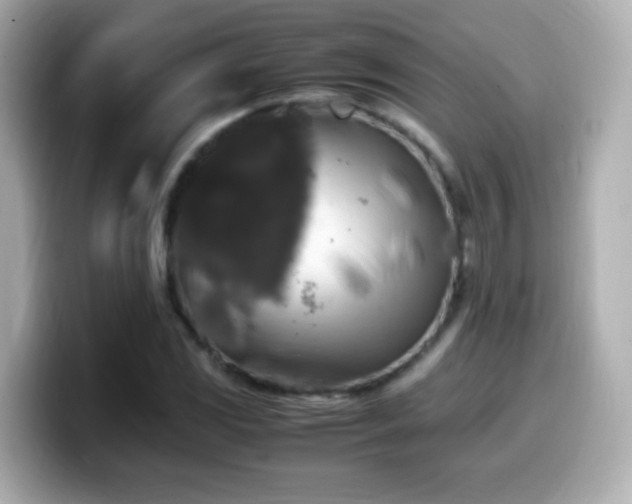 X0000099991117200805231447