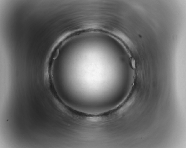 X0000099991118200805231447