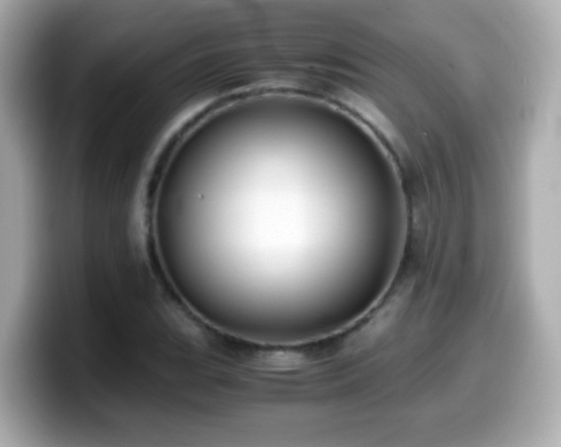 X0000099991119200805231447