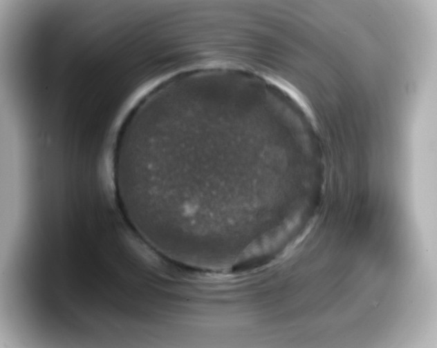 X0000099991120200805231447