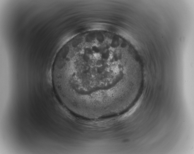 X0000099991121200805231447