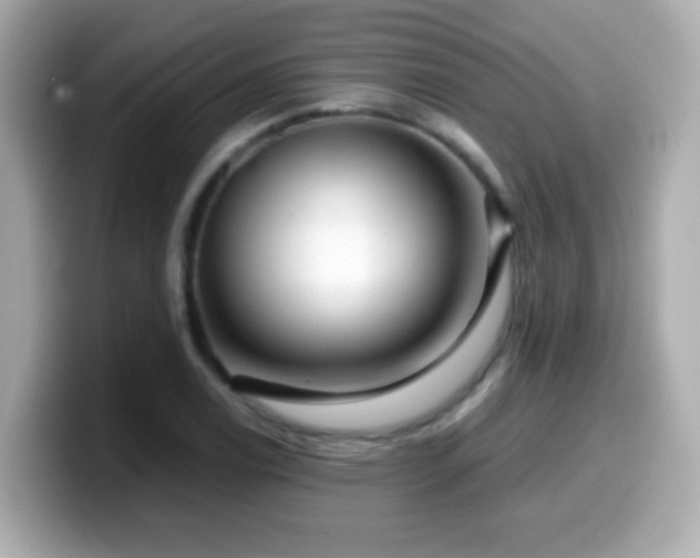 X0000099991122200805231447