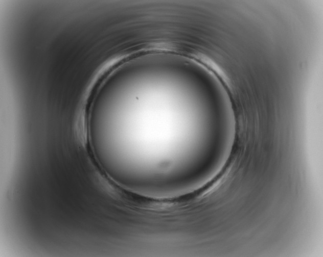 X0000099991123200805231447