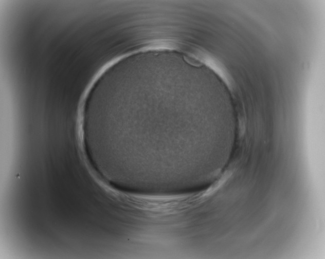 X0000099991124200805231447