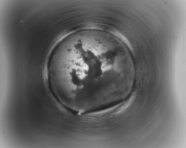 X0000099991125200805231447