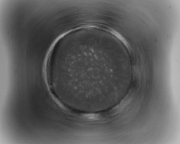 X0000099991127200805231447