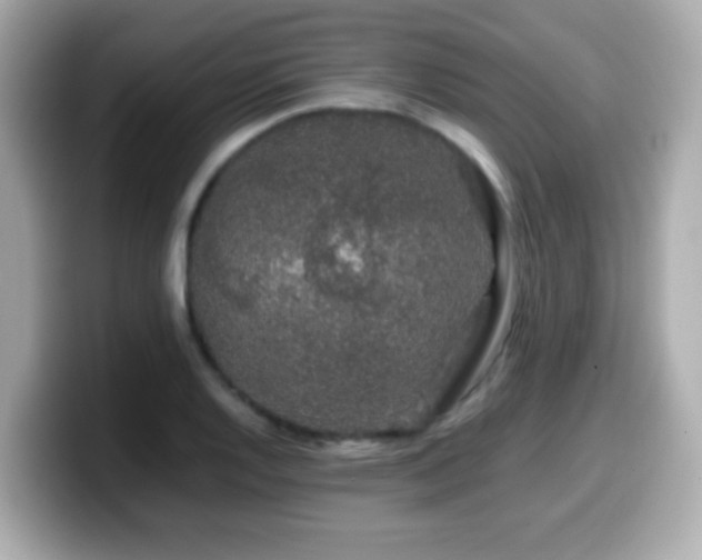 X0000099991128200805231447