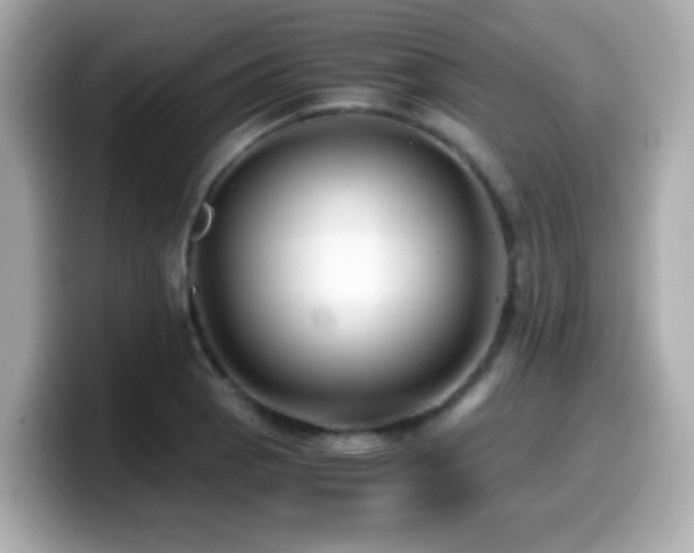 X0000099991129200805231447