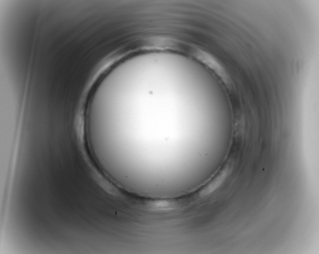 X0000099991130200805231447