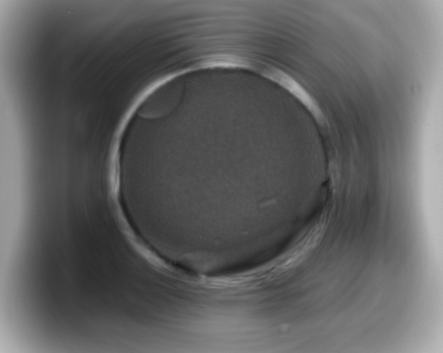 X0000099991132200805231447