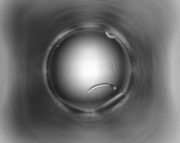 X0000099991133200805231447
