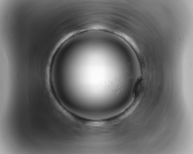 X0000099991134200805231447