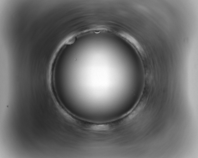 X0000099991135200805231447