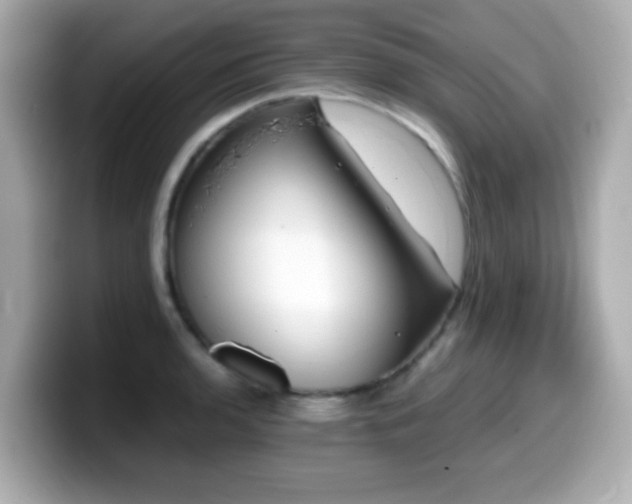 X0000099991136200805231447