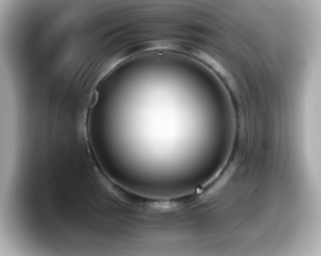 X0000099991137200805231447