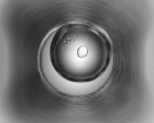 X0000099991138200805231447
