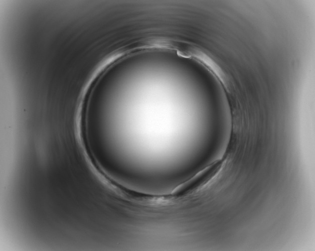 X0000099991139200805231447