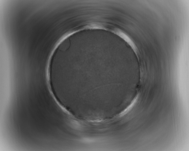 X0000099991141200805231447