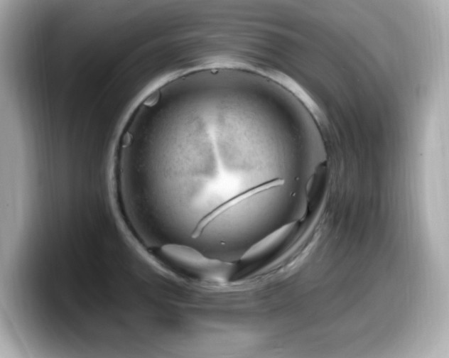X0000099991142200805231447