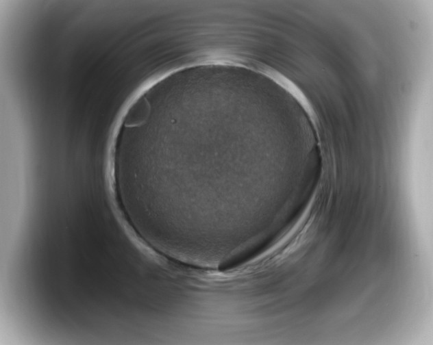 X0000099991144200805231447