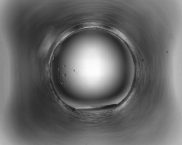 X0000099991145200805231447