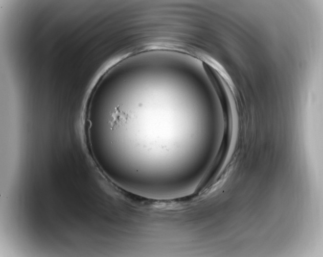 X0000099991146200805231447