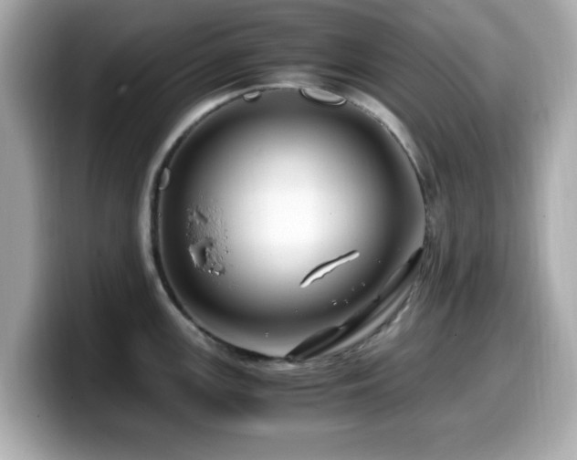 X0000099991147200805231447