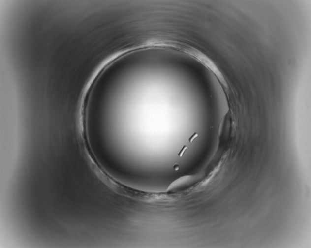 X0000099991148200805231447