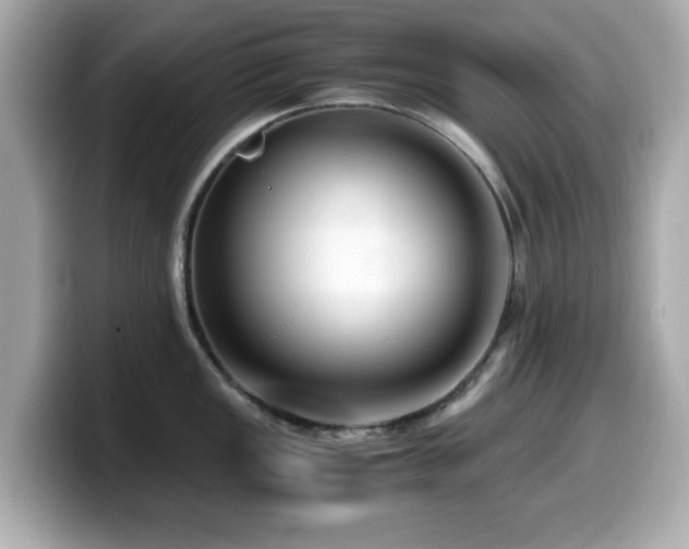 X0000099991149200805231447