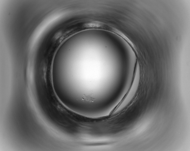 X0000099991151200805231447