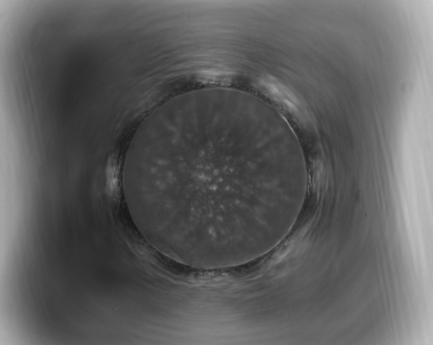 X0000099991154200805231447