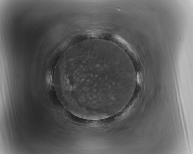 X0000099991155200805231447