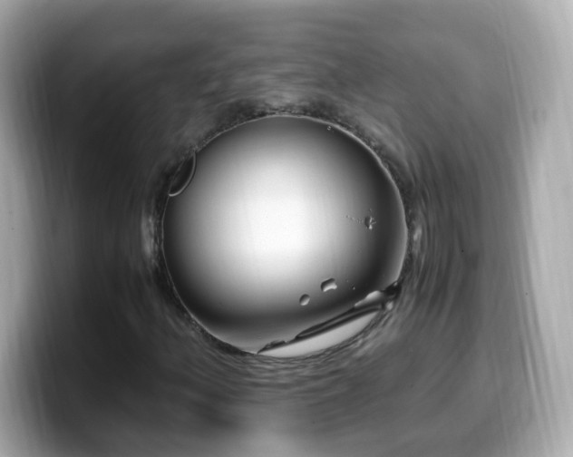 X0000099991156200805231447
