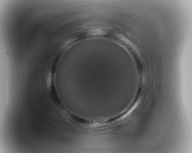 X0000099991161200805231447