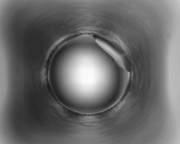 X0000099991164200805231447
