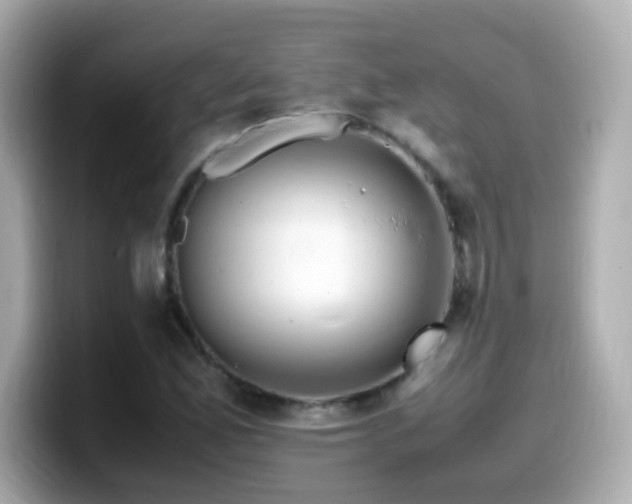 X0000099991165200805231447