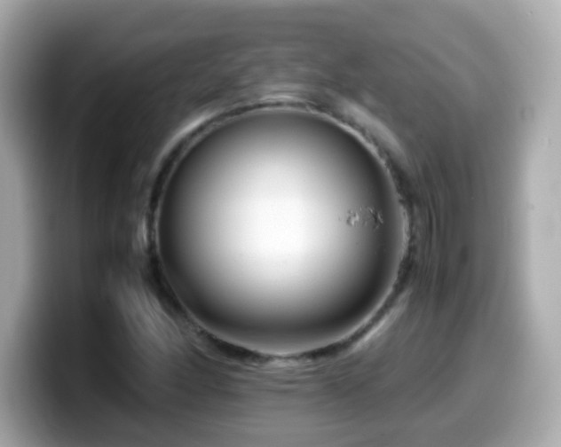 X0000099991166200805231447