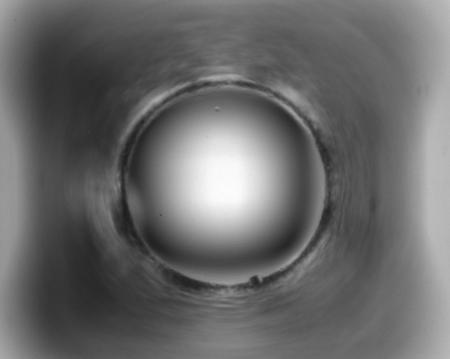 X0000099991167200805231447