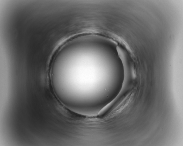 X0000099991168200805231447