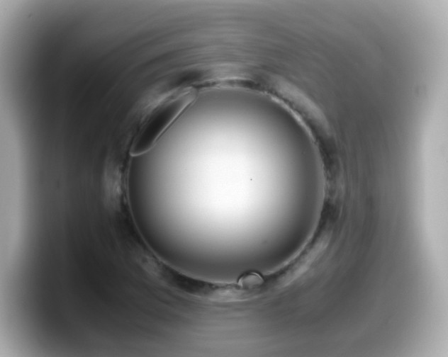 X0000099991169200805231447