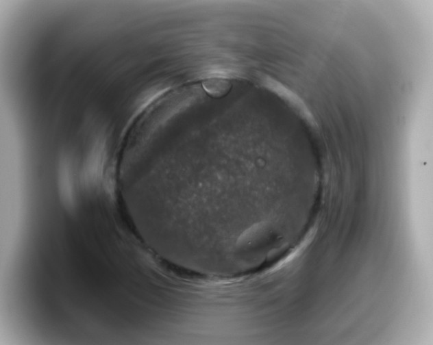 X0000099991170200805231447