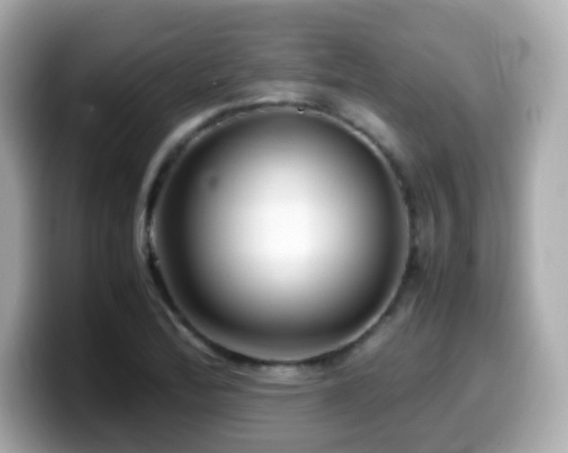 X0000099991172200805231447