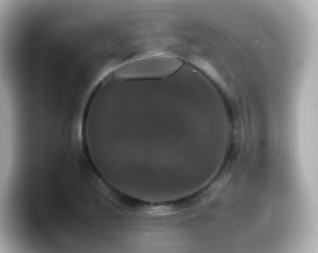 X0000099991173200805231446