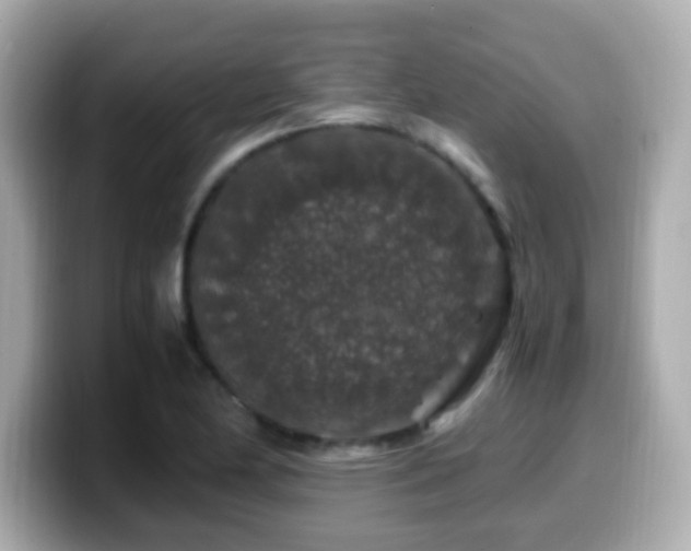 X0000099991174200805231446