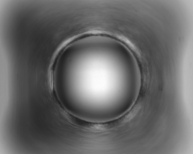X0000099991175200805231446