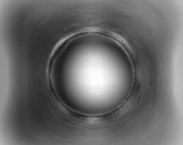 X0000099991176200805231446